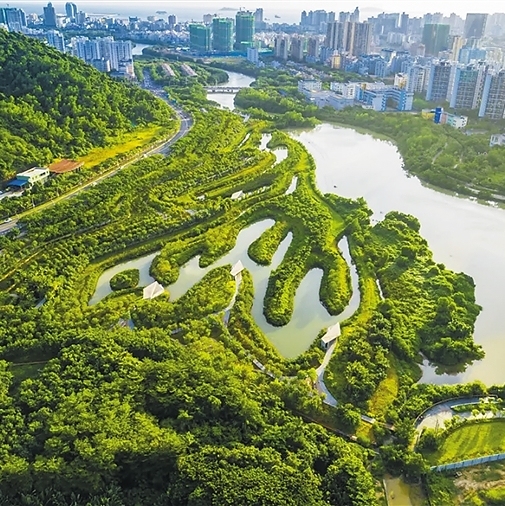 項(xiàng)目展示圖